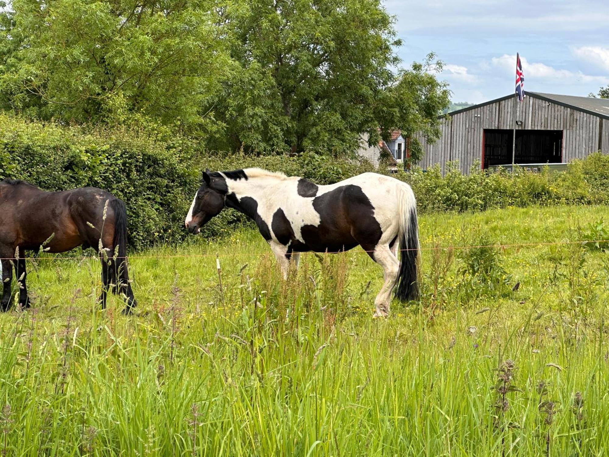 Sticklinch Farm Near Town & Walking Distance For Festival 4 Beds Sleeps 5 * Glastonbury